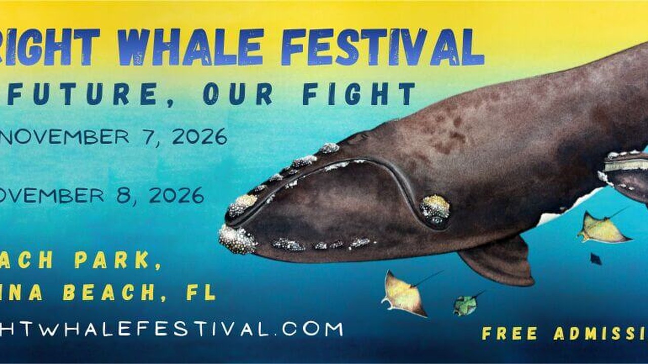 Image for 2026 Right Whale Festival