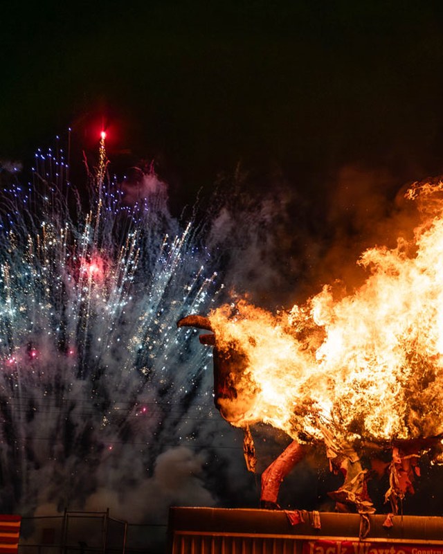 Image for Burning of the Bull