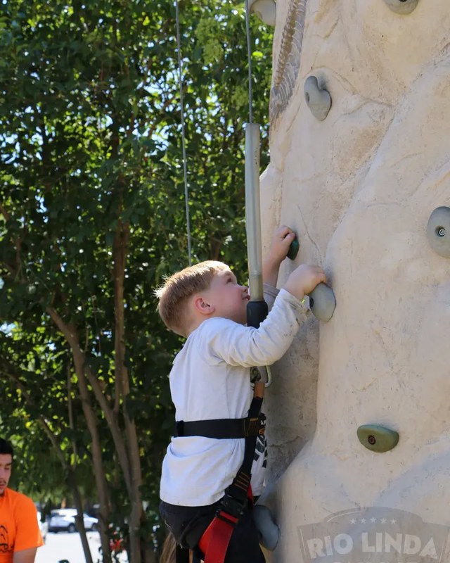 Image for 13th Annual Rio Linda Elverta Country Faire (RLE Country Faire)