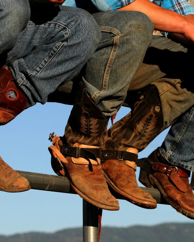 Image for Pleasanton Young Farmers Rodeo & Dance