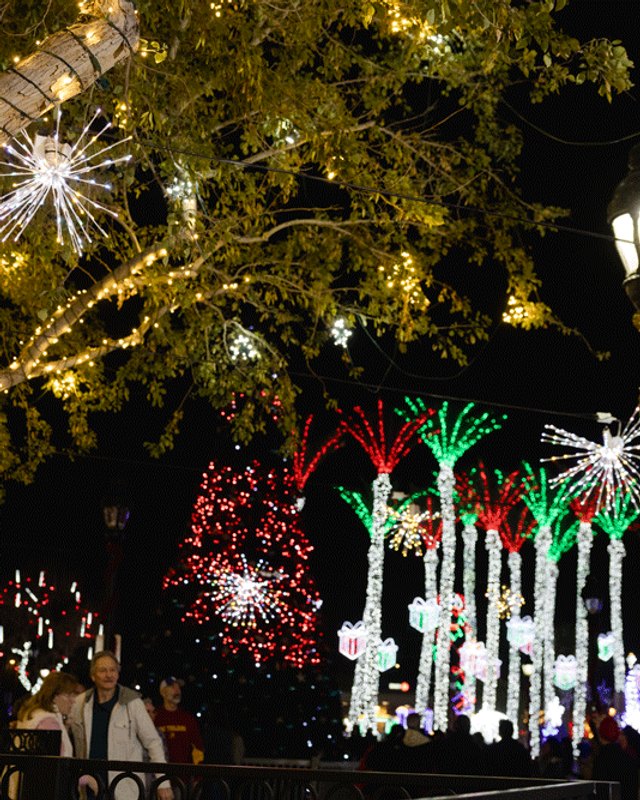 Holiday lights wrapped around a tree and glowing decorations at night in downtown Glendale