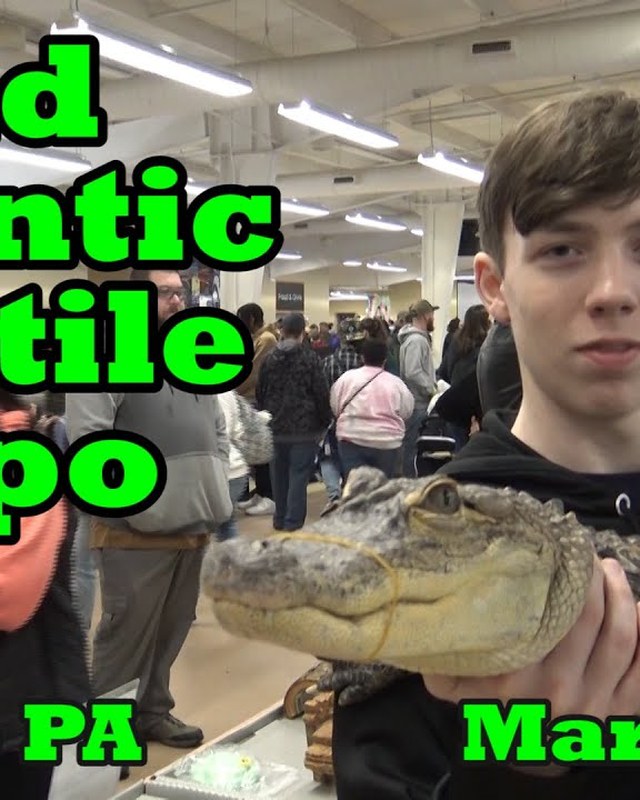 Image for Mid-Atlantic Reptile Expo (Carlisle)