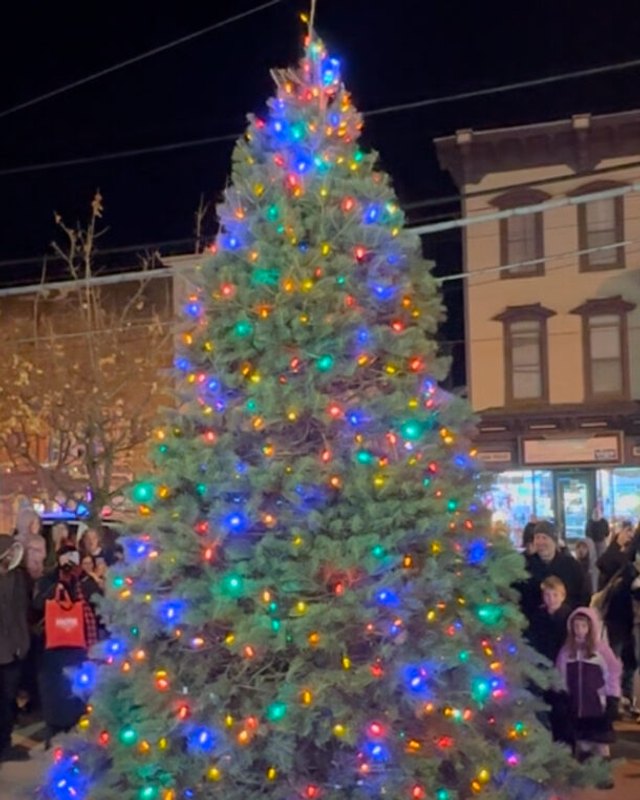 Large lit Christmas tree on a downtown street with a crowd of people gathered below at night.