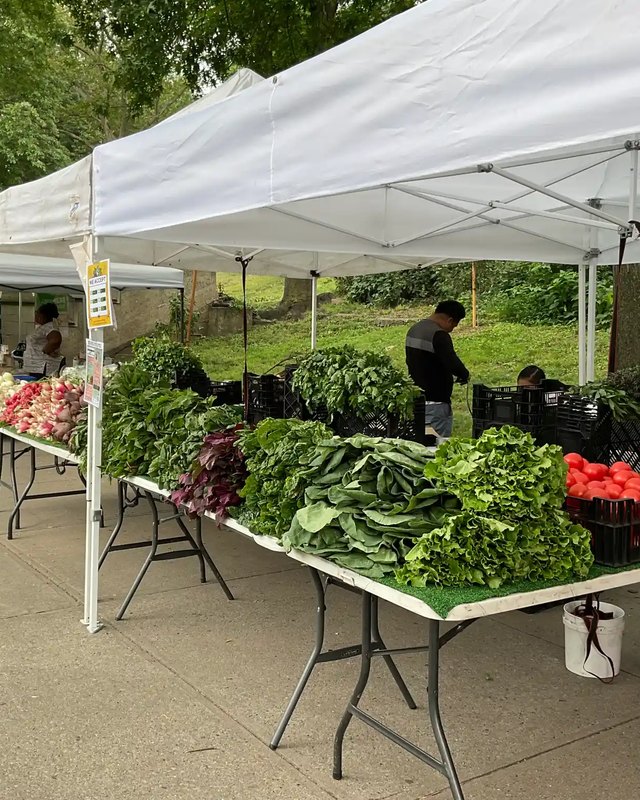 Farmers market stall under a white tent with fresh greens, peppers and produce on crates in a park.