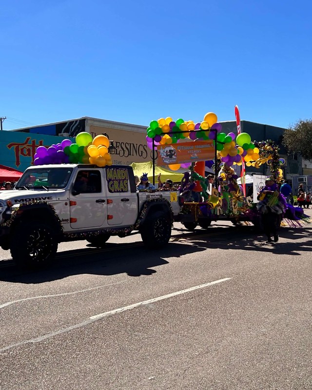 Image for Saltwater Mardi Gras