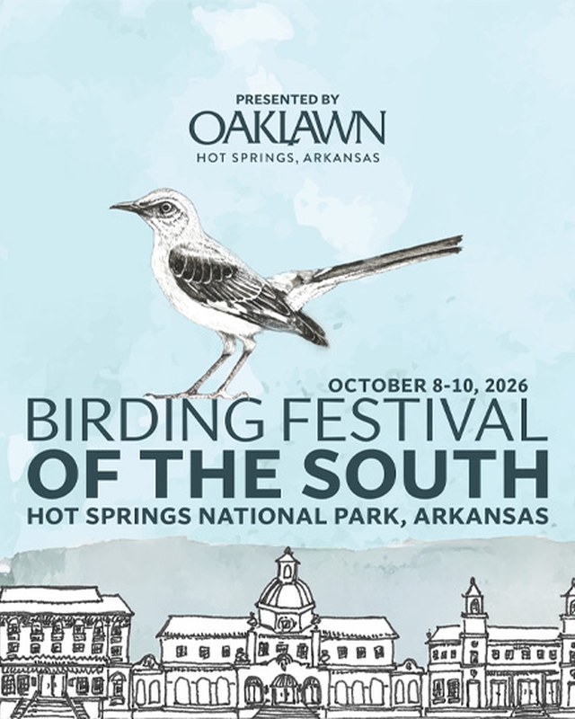 Image for Birding Festival of the South