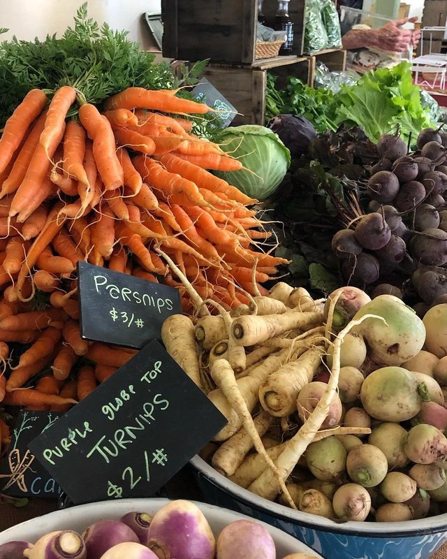 Fresh carrots, beets, turnips and parsnips displayed at a farm produce stand