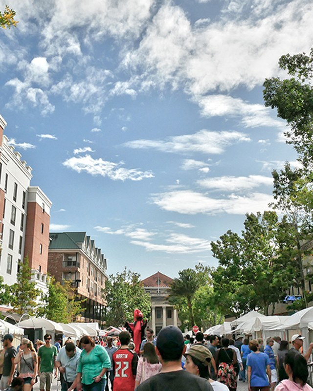 Image for 2026 Gainesville Pride Festival