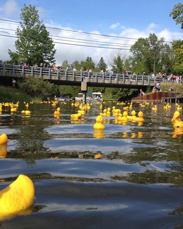 Image for Rubber Ducky Festival