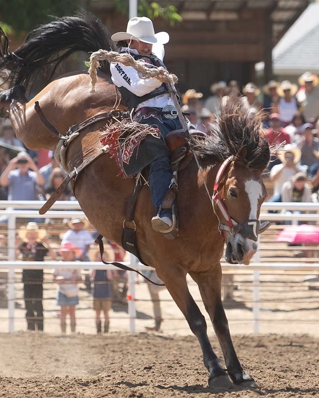 Image for 71st Annual Woodlake Lions Rodeo