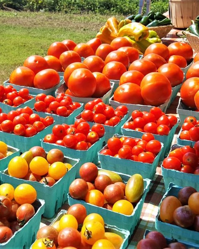 Image for Atlantic City Farmers Market (C.R.O.P.S.)
