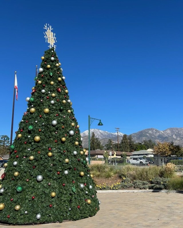 Image for Winterfest