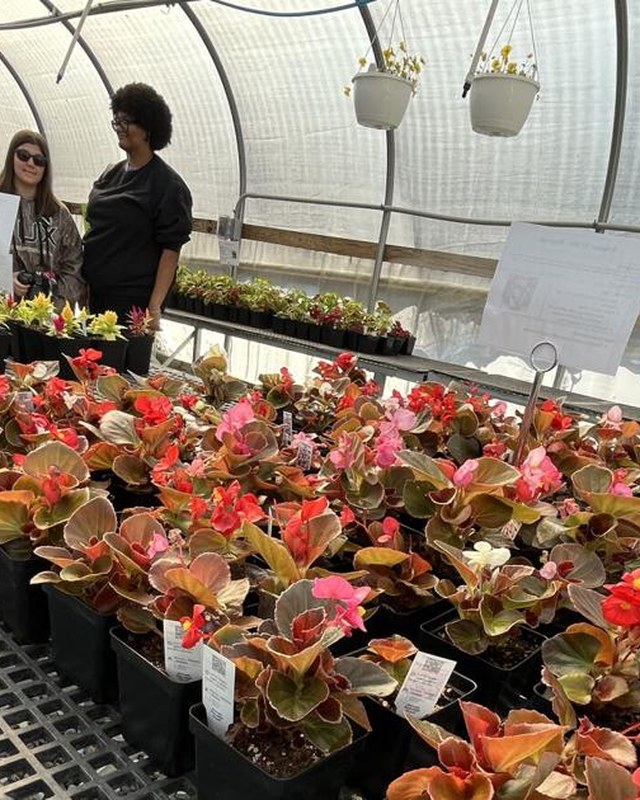 Image for Dutchtown FFA Plant Sale and Farmers Market