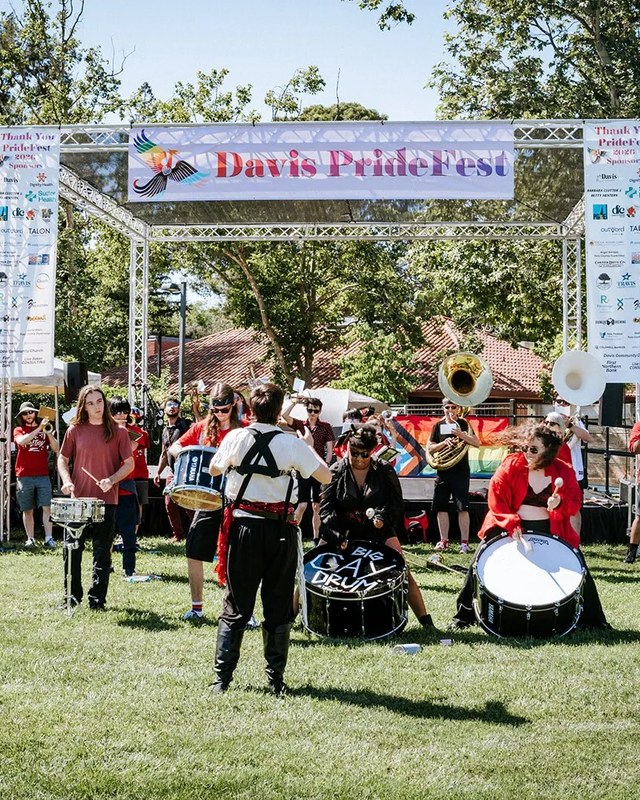 Image for Davis PrideFest 2026
