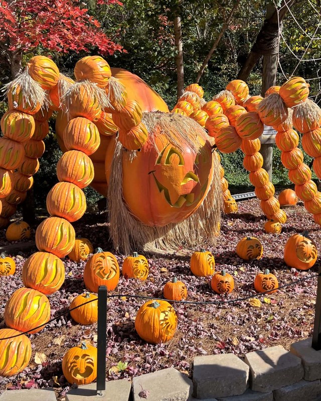 Image for Fall-O-Ween