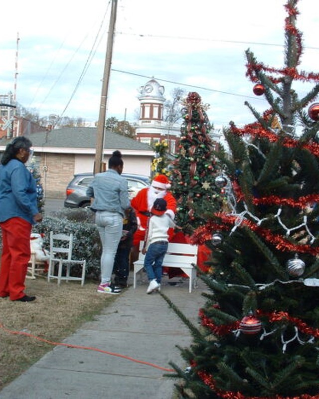 Image for Maxton Tree Lighting