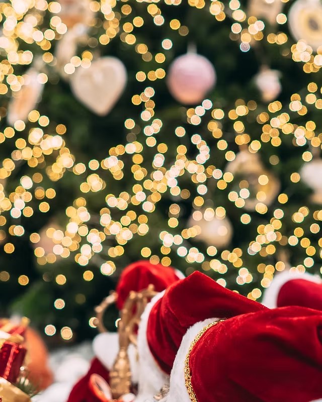 Image for Santa's Winter Wonderland
