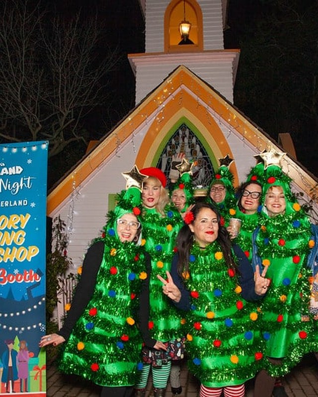 Image for Twas the Night Before Fairy Winterland (21+)