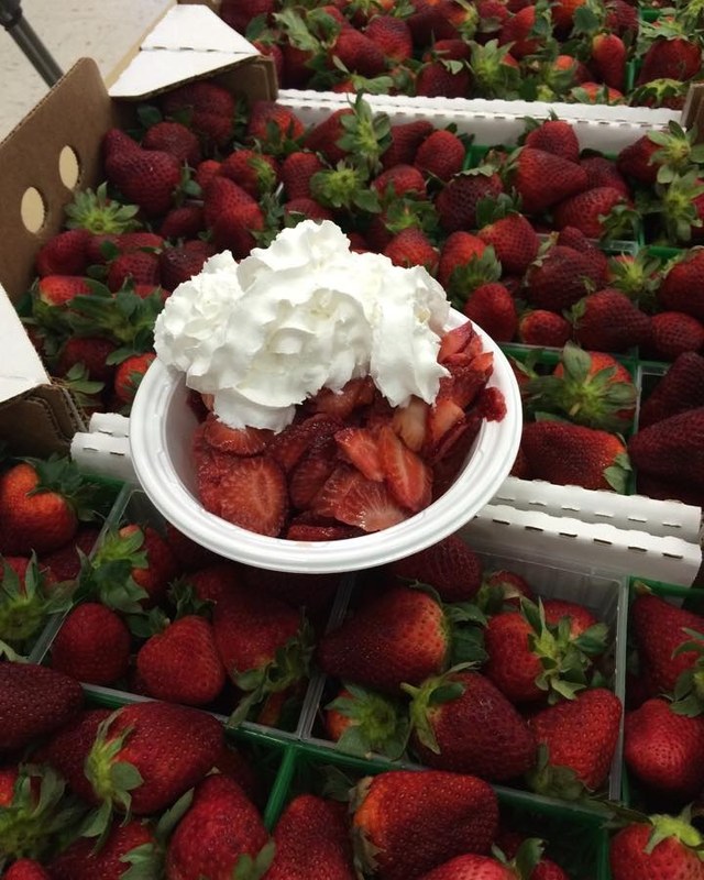 Image for Baldwin County Strawberry Festival
