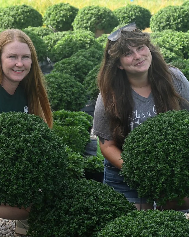 Image for Fall Festival at TLC Garden Center