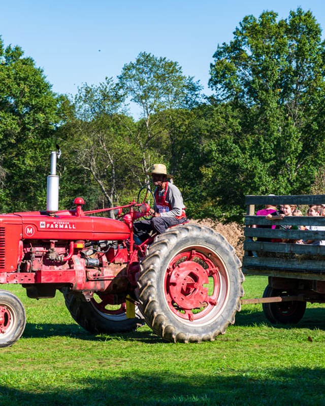 Image for Harvest Festival