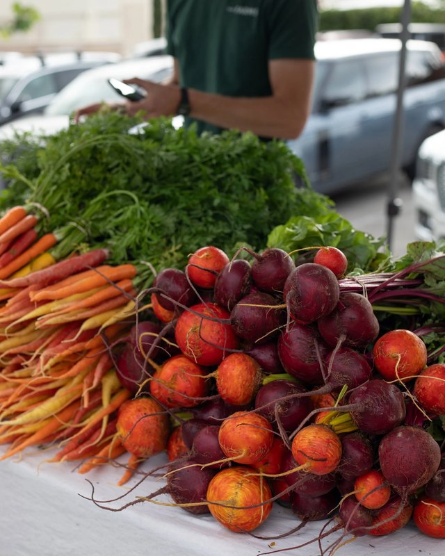 Bunches of carrots and red beets displayed at a T+H Farms market table, with a vendor behind them.
