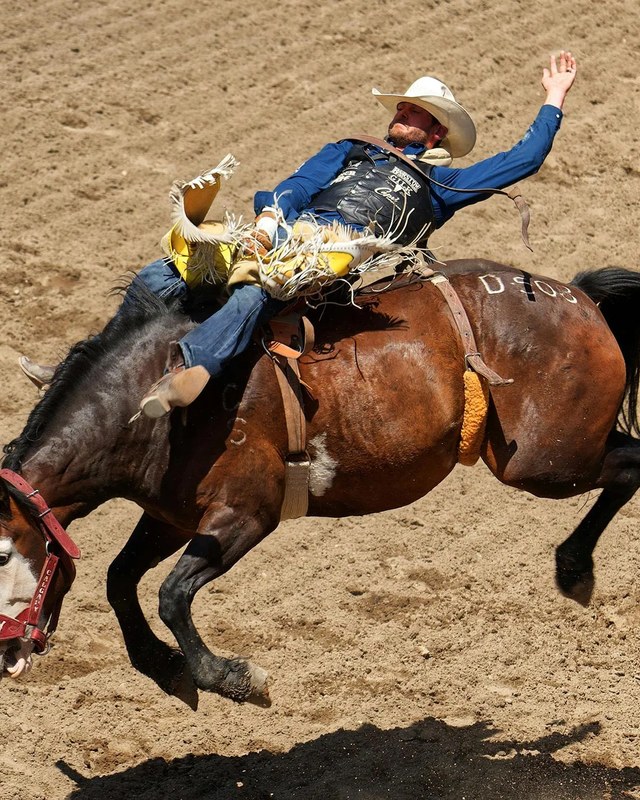 Image for Baca County Fair Horse Show