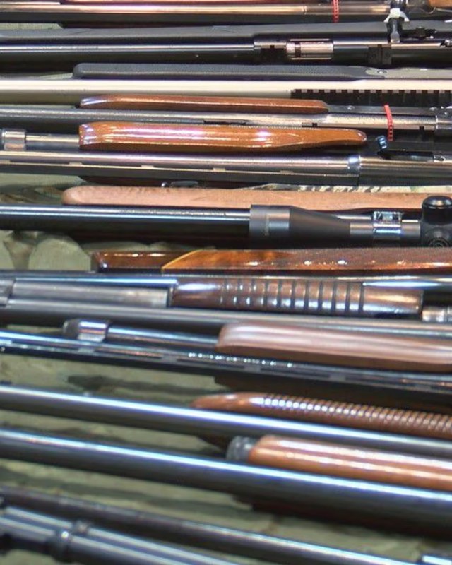 Image for Biloxi Gun Show
