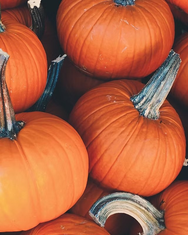 Image for Fall Fun Festival in Keller