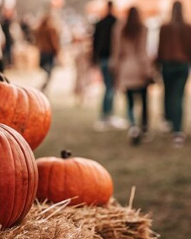 Image for 2026 Lake Havasu City Octoberfest