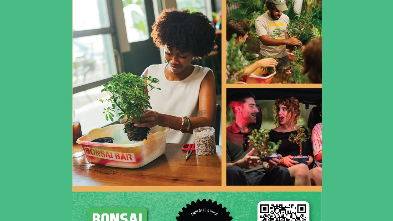 Image for Twisted Trees Homestead Pop-Up