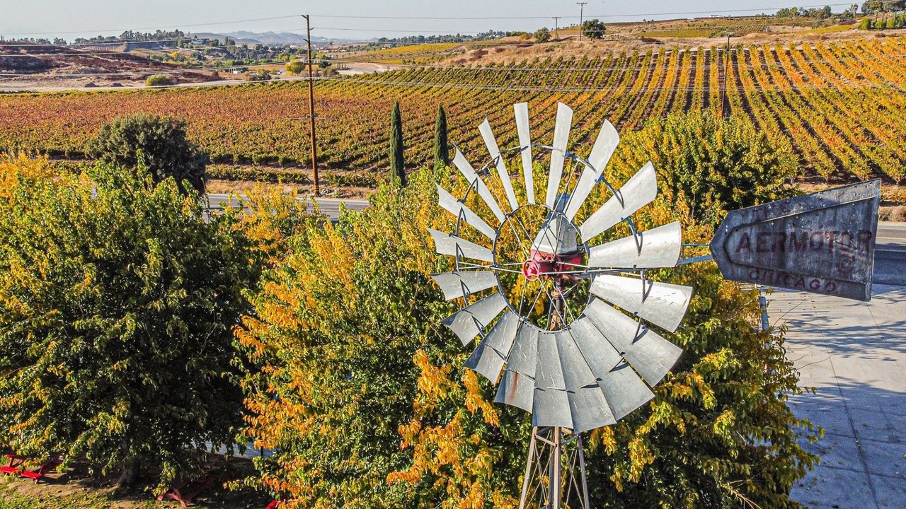 Vineyard rows and autumn foliage with a metal windmill at Maurice Car'rie Winery in Temecula.