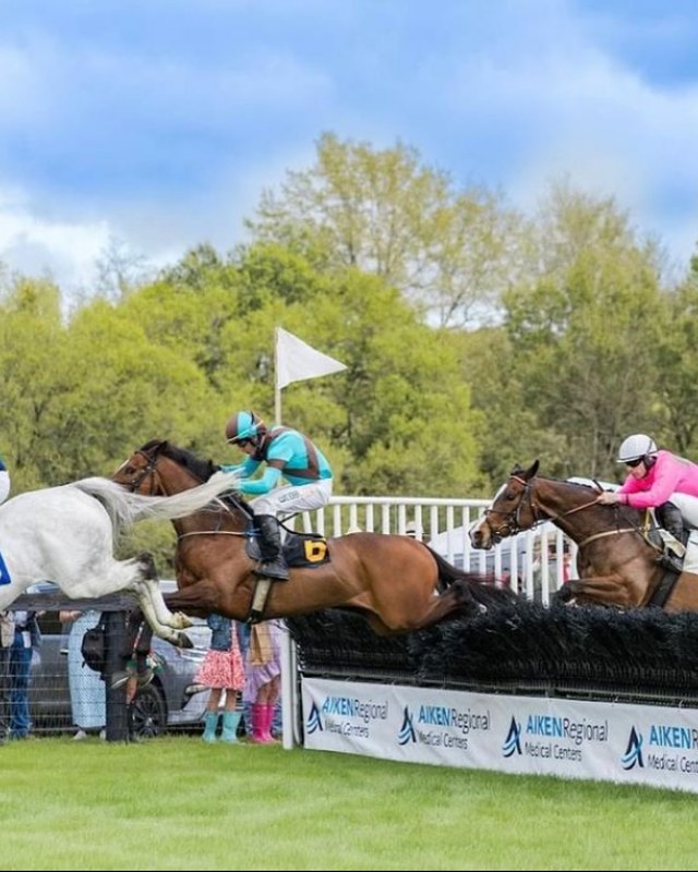 Image for Aiken Fall Steeplechase