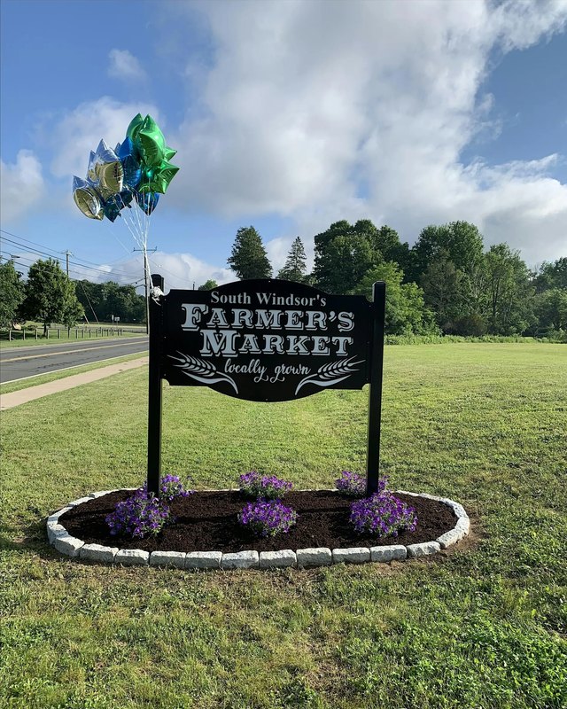 South Windsor's Farmers Market sign with purple flowers and a bunch of balloons on a grassy lawn by a road.