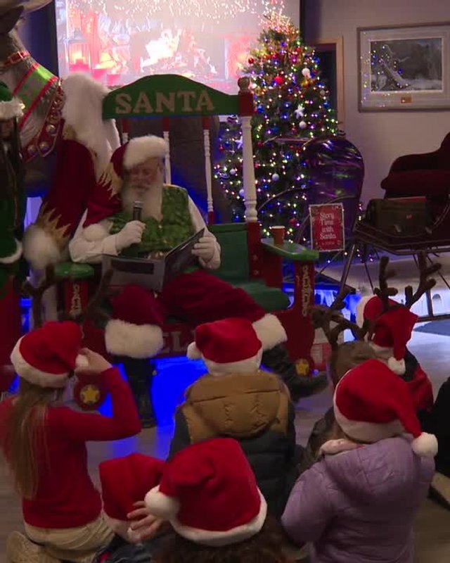 Santa and elves greeting a group of children in Santa hats at an indoor holiday event with a decorated tree.
