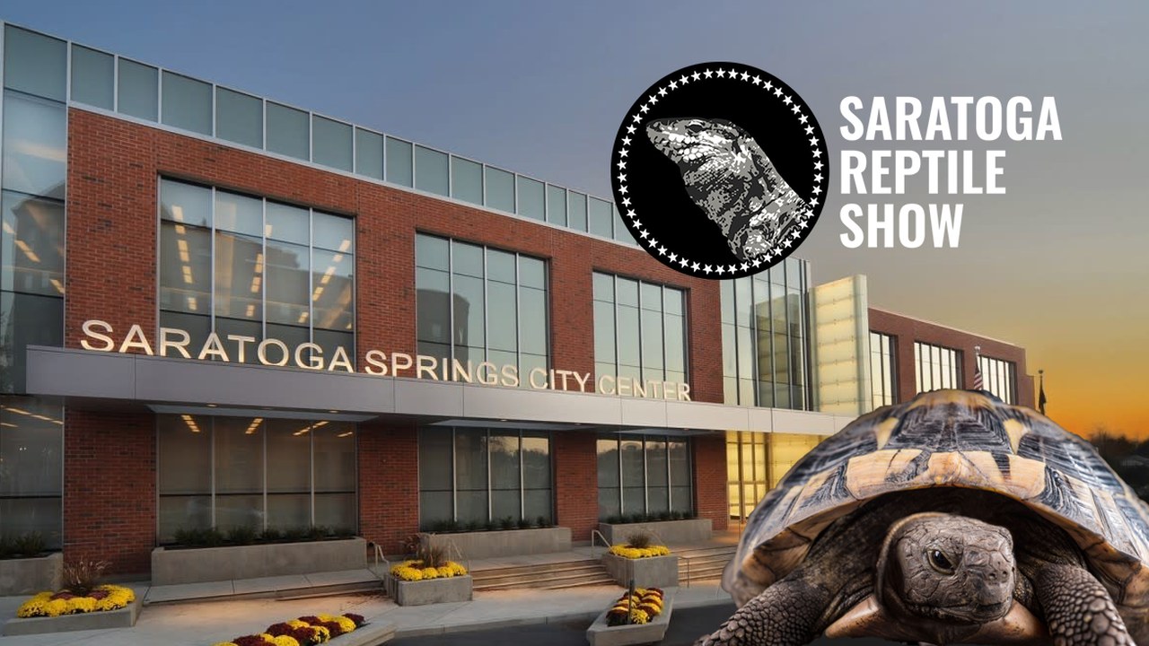 Image for Saratoga Reptile Show