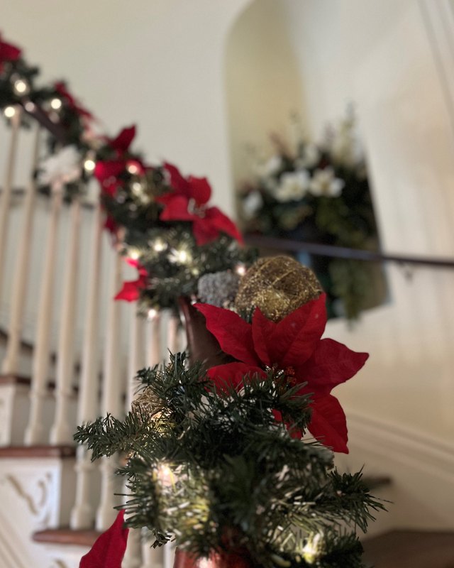 Red poinsettias and lights on a white banister, festive holiday décor at The Grove Museum.