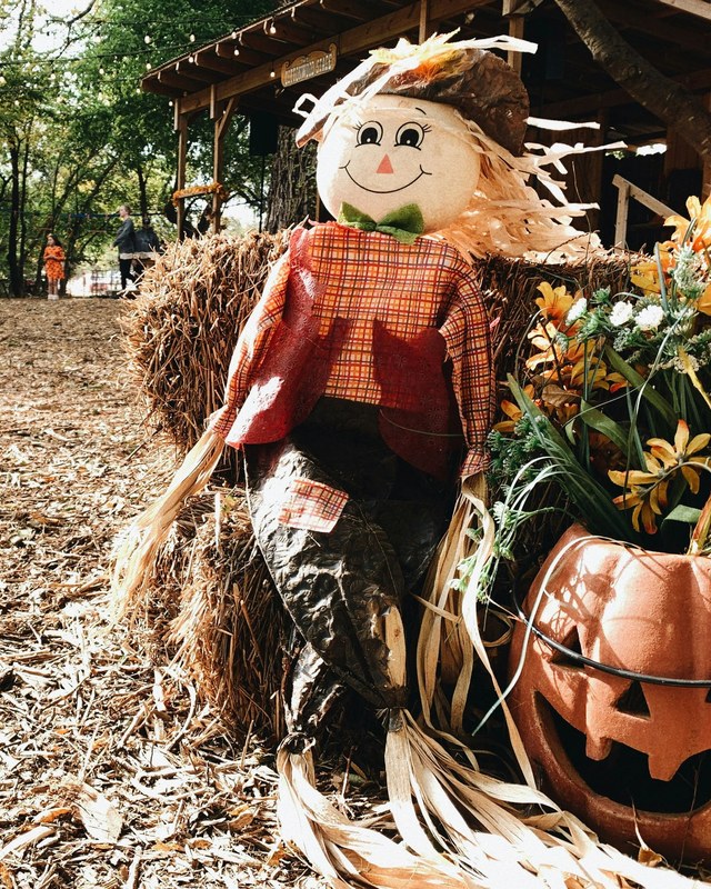 Image for North Lake Harvest Festival