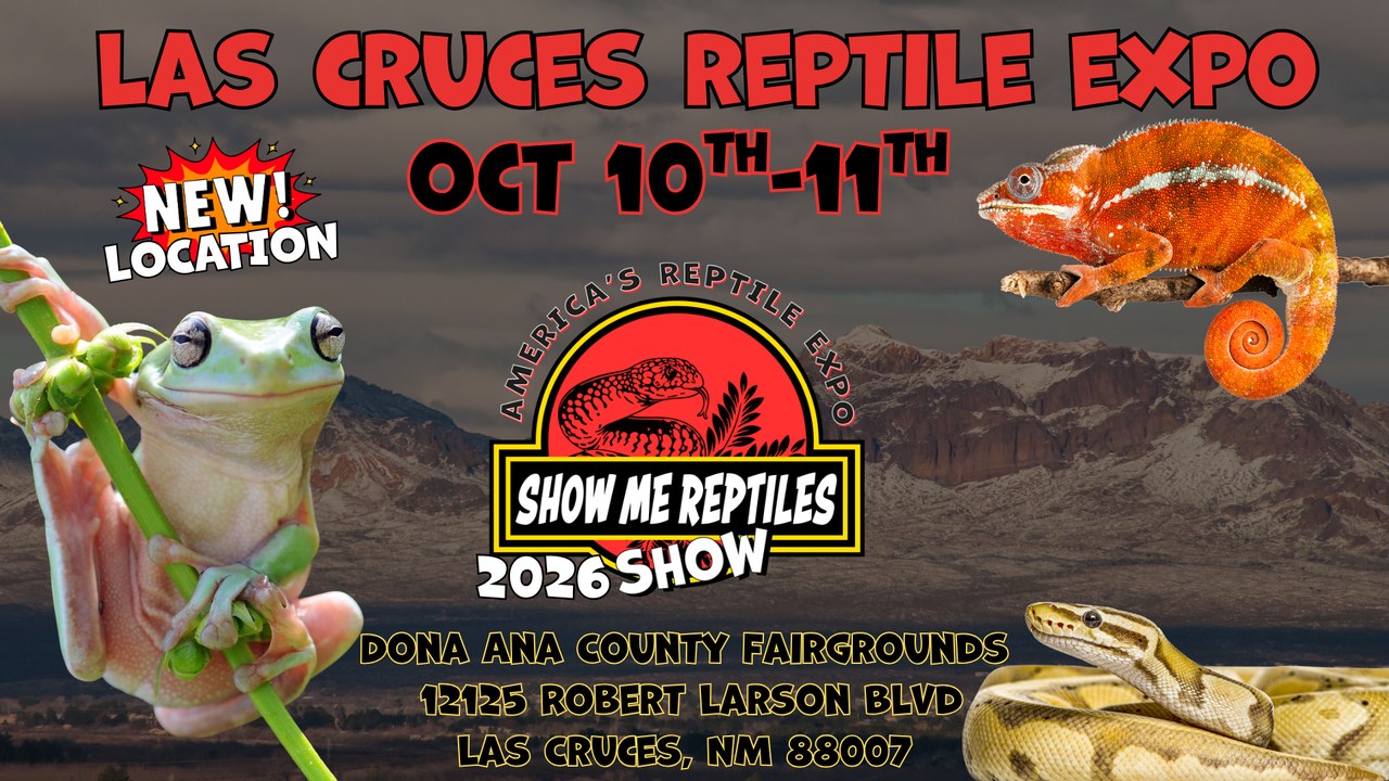 Image for Las Cruces New Mexico Reptile Show & Pet Expo (Show Me Reptile Shows)