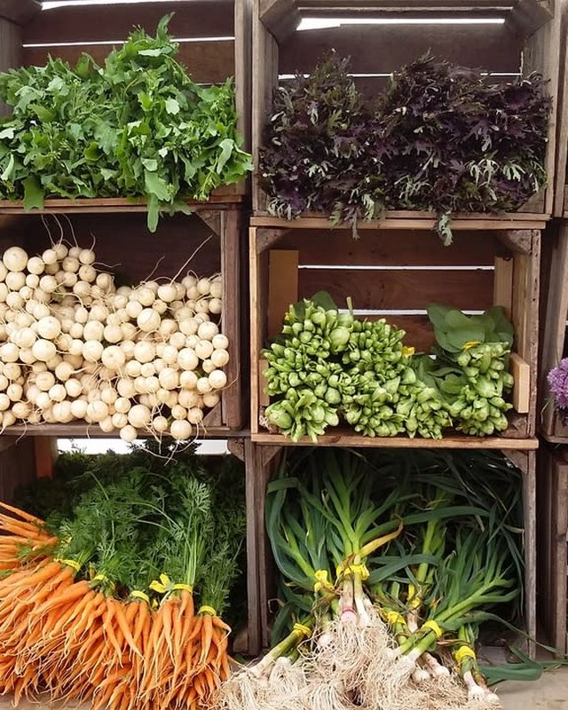 Image for Callicoon Farmers Market
