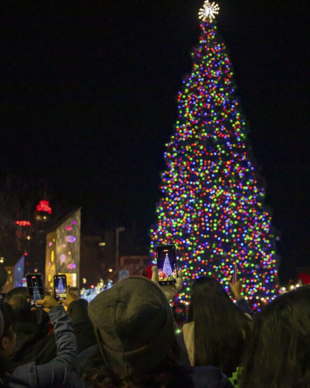 Image for Holiday Lights Festival
