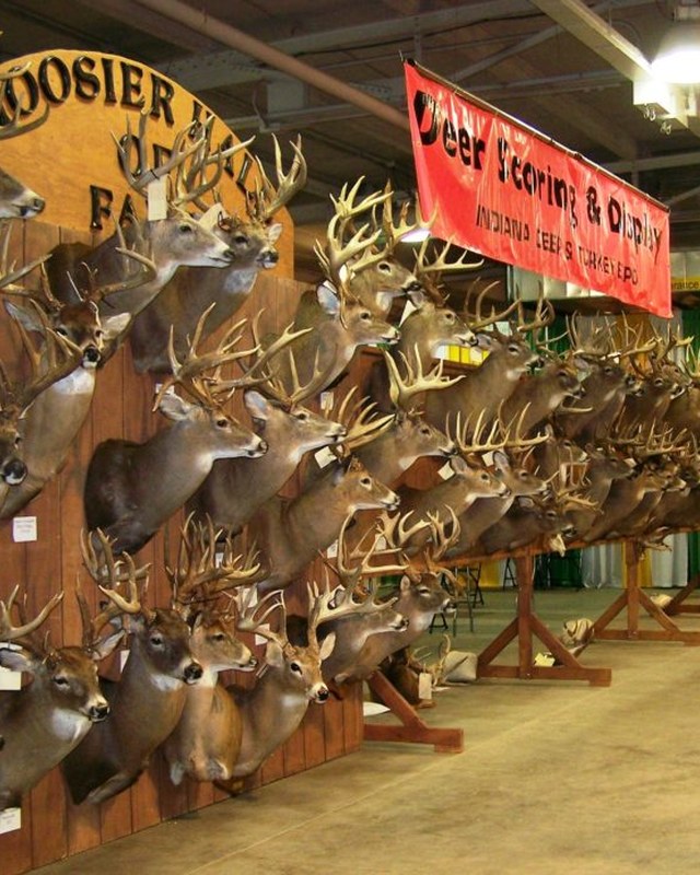 Image for Indiana Deer, Turkey & Waterfowl Expo