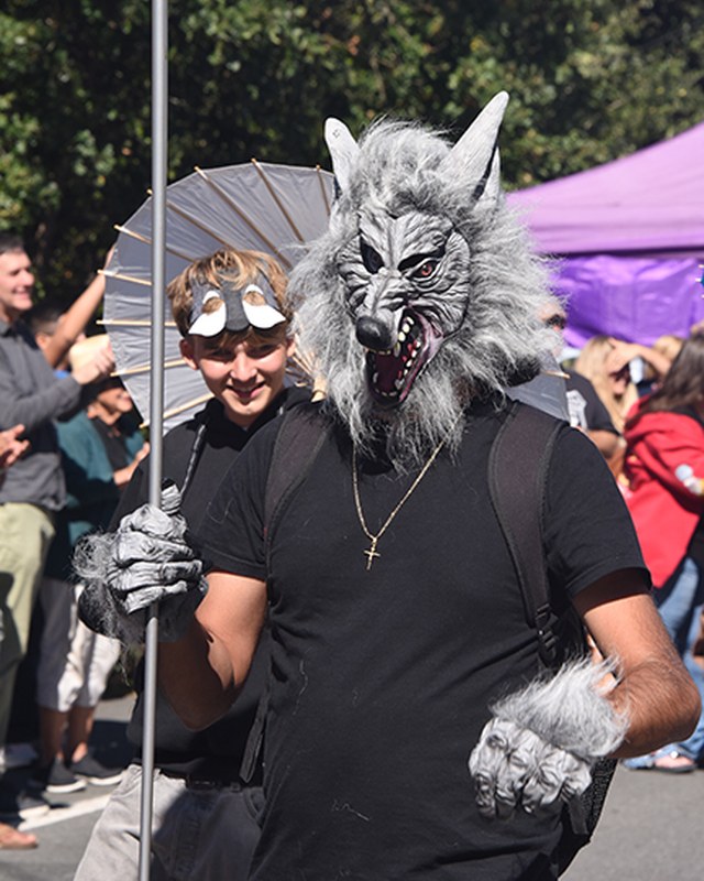 Image for Glen Ellen Village Fair