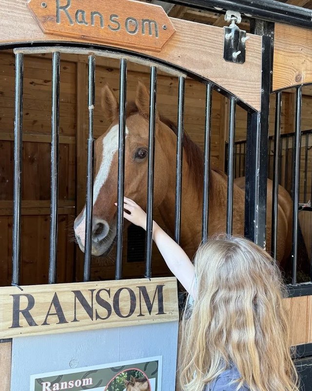 Image for 2026 Open House at WoodHaven Rescue Farm
