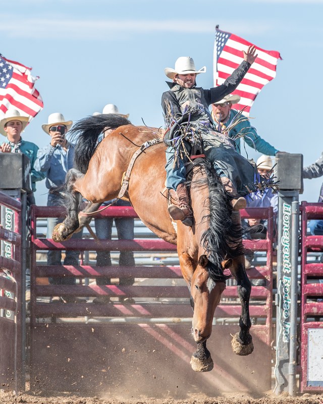 Image for Alamosa Round-UP 2026