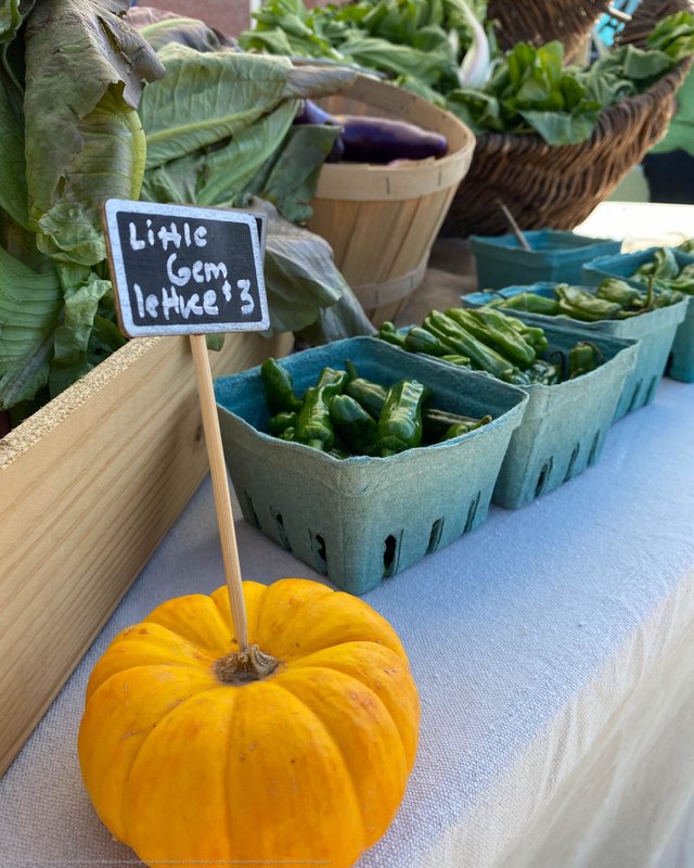 Produce display with a pumpkin, Little Gem lettuce sign and green beans in baskets at a market stall.