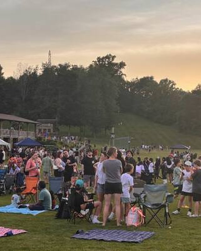 Image for Festival in the Park