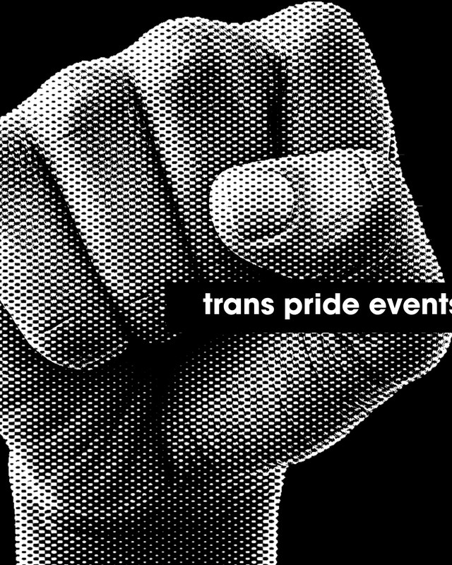 Image for Baltimore Trans Pride 2026 Festival