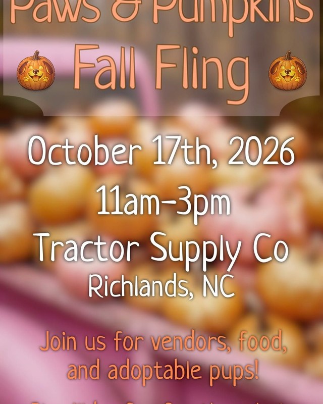 Image for Paws & Pumpkins Fall Fling Vendor/Adoption Event