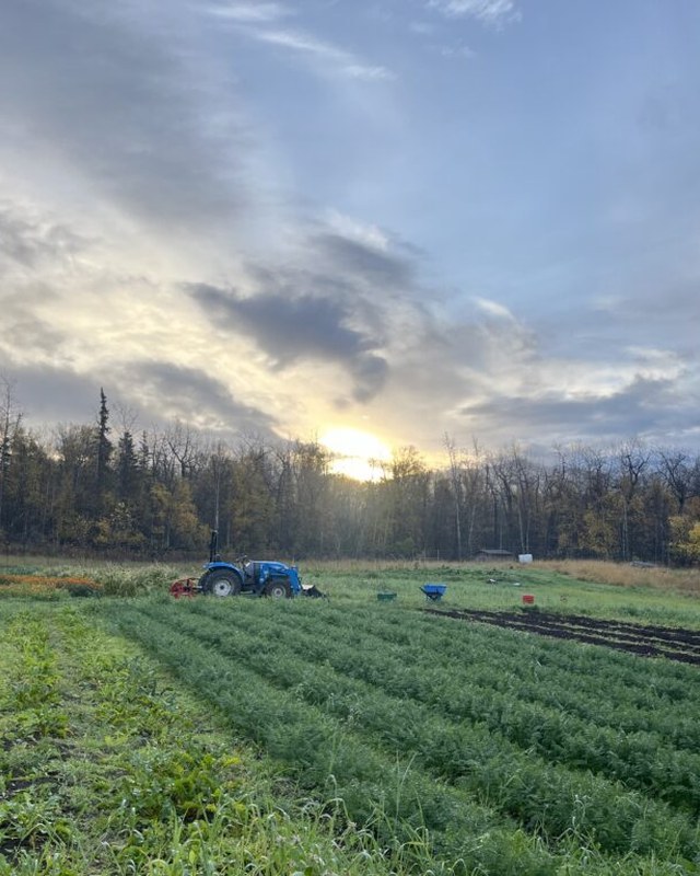 Image for The Farmers Market at Alaska Pacific University
